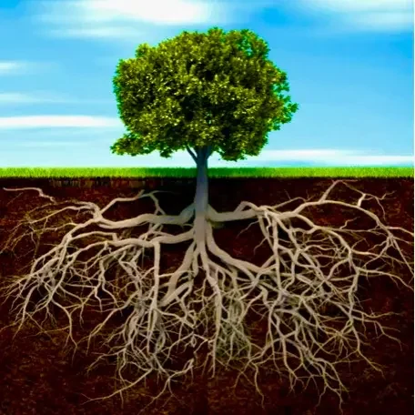 sieht aus wie nagelpilz ist aber keiner, jenncosmetic